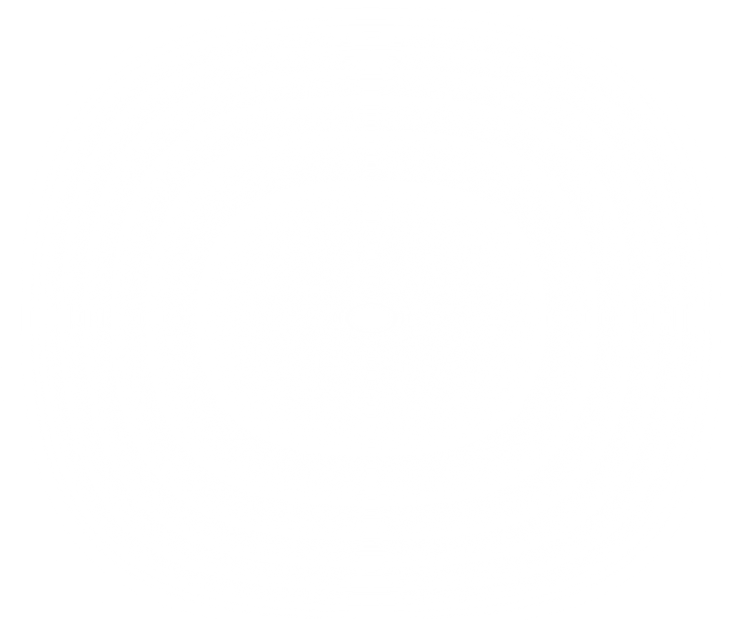 transparent white gradient fades